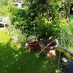 Nordlicht *